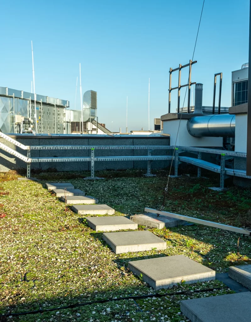 Port Praski – dach zielony ekstensywny i stopnie serwisowe