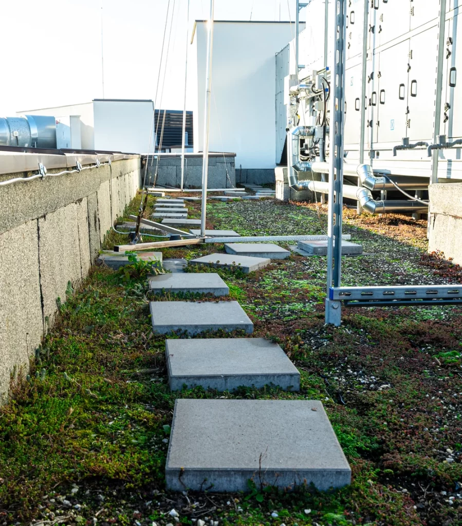 Port Praski – dach zielony ekstensywny i stopnie serwisowe