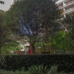 Kiedy zacząć ogród przy budowie domu? Warszawa – uniknij błędów i kosztów