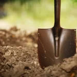 Gleba po budowie – dlaczego ziemia ogrodowa to za mało?