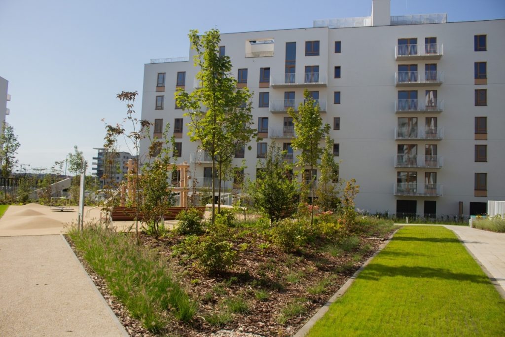 Zagospodarowane zielenią patio pomiędzy budynkami osiedla NEOWO 2