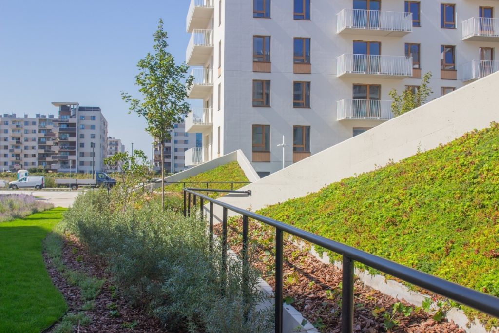 Zagospodarowane zielenią patio pomiędzy budynkami osiedla NEOWO 2