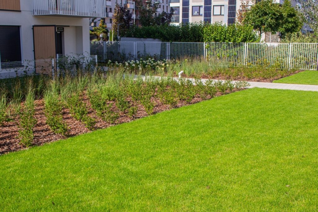Zagospodarowane zielenią patio pomiędzy budynkami osiedla NEOWO 2
